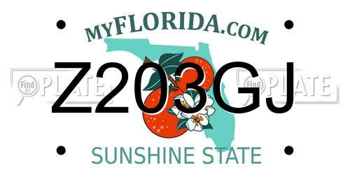 Z203GJ Florida License Plate