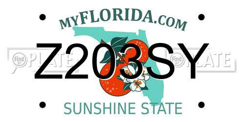Z203SY Florida License Plate