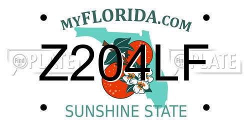 Z204LF Florida License Plate