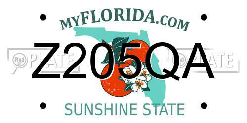 Z205QA Florida License Plate