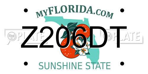 Z206DT Florida License Plate
