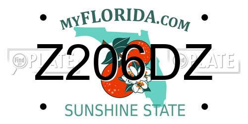 Z206DZ Florida License Plate