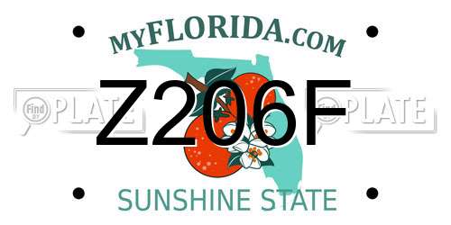 Z206F Florida License Plate