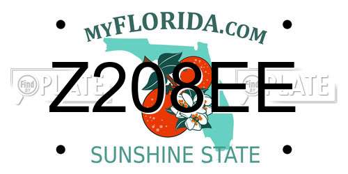 Z208EE Florida License Plate