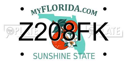 Z208FK Florida License Plate