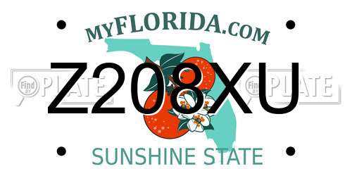 Z208XU Florida License Plate
