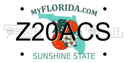 Z20ACS Florida License Plate