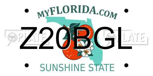 Z20BGL Florida License Plate