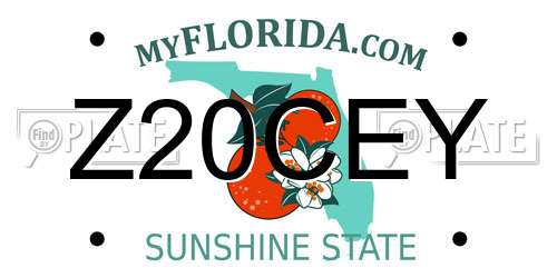 Z20CEY Florida License Plate