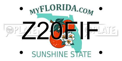 Z20FIF Florida License Plate