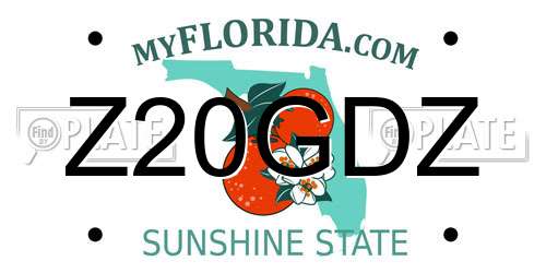 Z20GDZ Florida License Plate