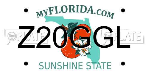 Z20GGL Florida License Plate