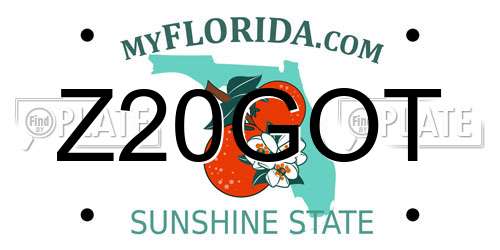Z20GOT Florida License Plate