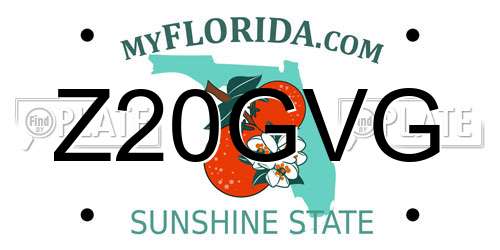 Z20GVG Florida License Plate