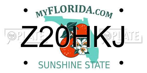 Z20HKJ Florida License Plate