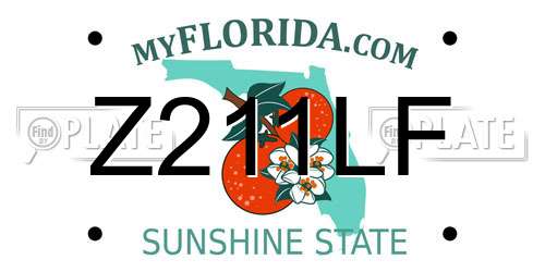 Z211LF Florida License Plate