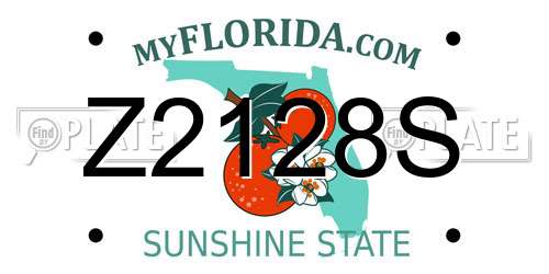 Z2128S Florida License Plate