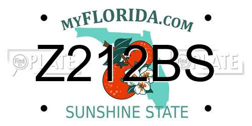 Z212BS Florida License Plate