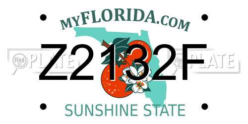 Z2132F Florida License Plate