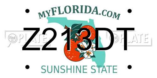 Z213DT Florida License Plate