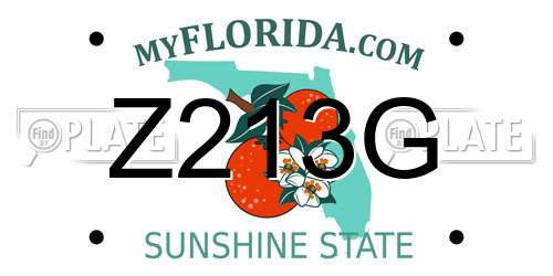 Z213G Florida License Plate