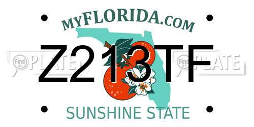 Z213TF Florida License Plate