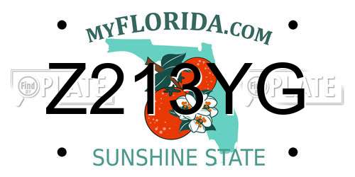 Z213YG Florida License Plate