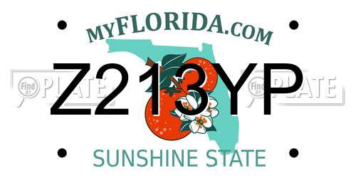 Z213YP Florida License Plate