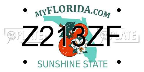 Z213ZF Florida License Plate