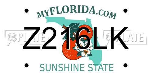 Z216LK Florida License Plate