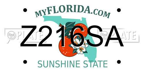 Z216SA Florida License Plate
