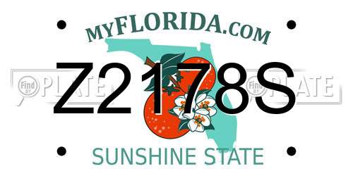 Z2178S Florida License Plate