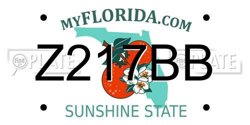 Z217BB Florida License Plate
