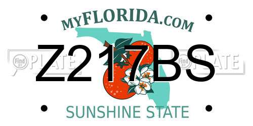 Z217BS Florida License Plate