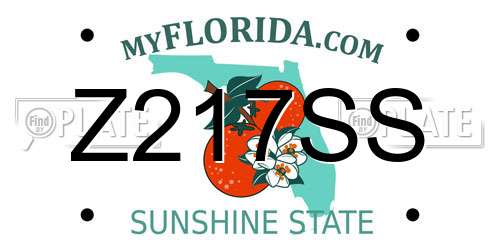 Z217SS Florida License Plate