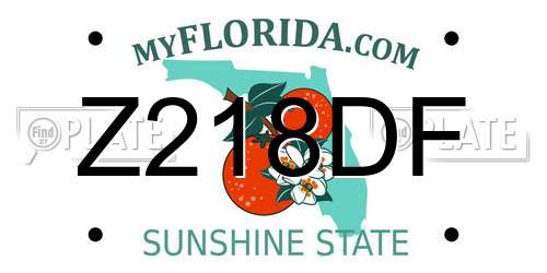 Z218DF Florida License Plate