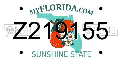 Z219155 Florida License Plate