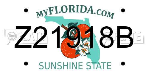 Z21918B Florida License Plate