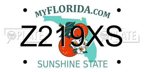 Z219XS Florida License Plate