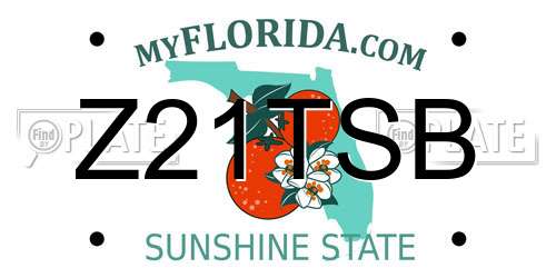 Z21TSB Florida License Plate
