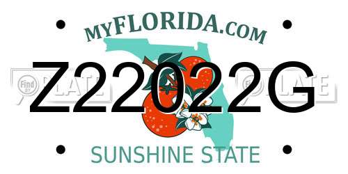 Z22022G Florida License Plate