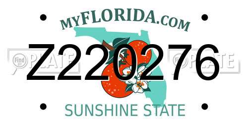 Z220276 Florida License Plate
