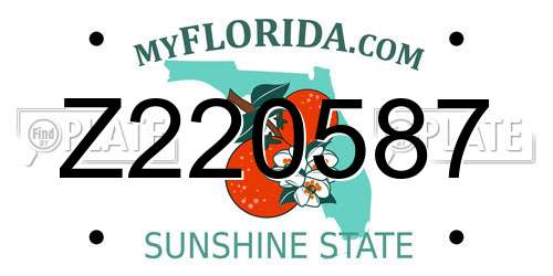 Z220587 Florida License Plate