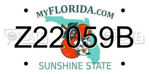 Z22059B Florida License Plate