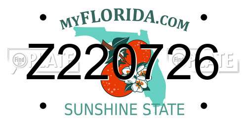 Z220726 Florida License Plate