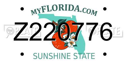 Z220776 Florida License Plate