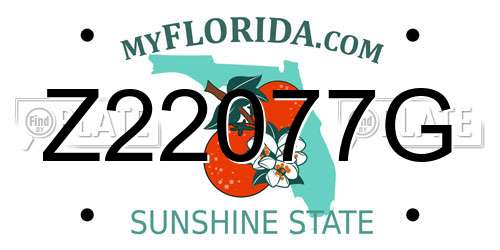 Z22077G Florida License Plate
