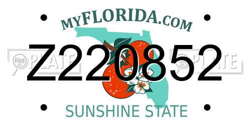 Z220852 Florida License Plate