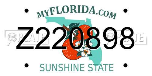 Z220898 Florida License Plate