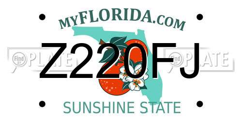 Z220FJ Florida License Plate